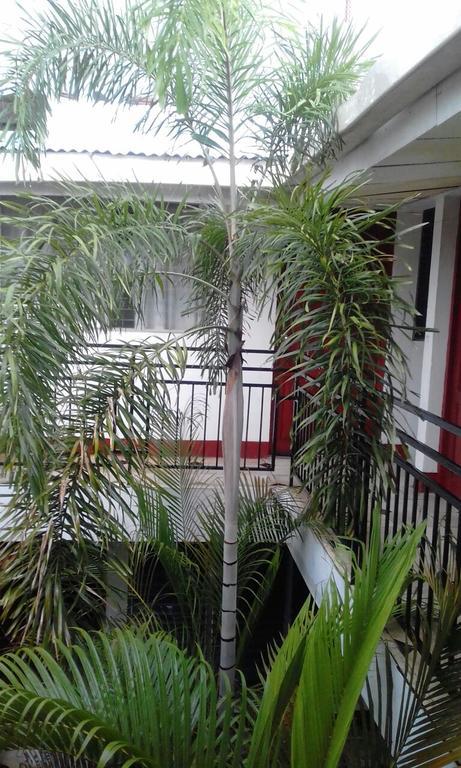 El Callejon Guest House León Extérieur photo
